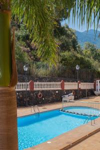 una piscina en un complejo con palmeras en Apartamento la grajita en Breña Baja