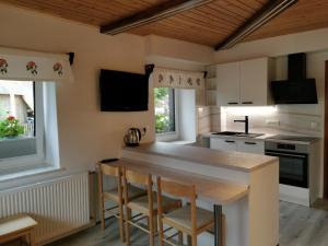 Kuchyň nebo kuchyňský kout v ubytování Rooms Pekovec Bohinj + 37 fotografií