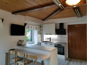 Kuchyň nebo kuchyňský kout v ubytování Rooms Pekovec Bohinj