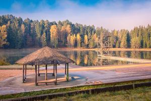 a pavilion in front of a body of water at Tuuli Majutus in Tõrva