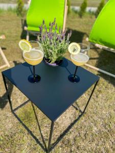 a table with three glasses of lemonade and a plant at Land House in Zator