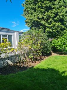 a yard with green grass and bushes next to a house at Private luxury Annex apartment with secure free parking in Chessington