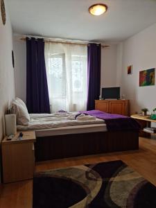 アルバ・ユリアにあるDeiada Guest Houseのベッドルーム1室(ベッド1台付)、紫色のカーテン付きの窓が備わります。