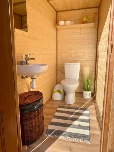 a bathroom with a toilet and a sink at Kargaja Kuke Saun & Kämping in Padakõrve +52 photos