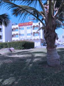 a palm tree in front of a building at Al Rayah Aparthotel Weekly and Monthly Rental in Jeddah