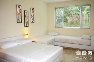 two white beds in a room with a window at Natura Reservado - Hoteles Natura in Anapoima