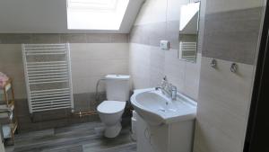 Kúpeľňa v ubytovaní Apartmány u Mlýna