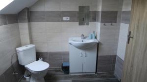 Kúpeľňa v ubytovaní Apartmány u Mlýna