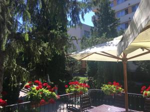 un patio con sombrilla y flores rojas en Hotel Germisara, en Geoagiu Băi