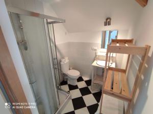 ein kleines Bad mit einem WC und einer Glasdusche in der Unterkunft Gosciniec Wydminy in Wydminy