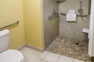 a bathroom with a shower stall with a toilet at Quality Inn near Hearst Castle in San Simeon