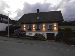 Una casa con luces en el costado. en Ferienwohnung Windten, en Braunlage