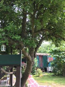 un albero con una casa sullo sfondo di Bauwagen für 4 Pers. a Kasnevitz