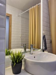 a bathroom with a sink and a mirror at Old Town Vytautas Apartment in Klaipėda