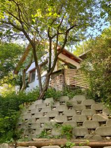 Vonkajšia záhrada v ubytovaní Rustic Cottage & Garden Retreat on Buda Hilltop