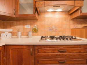 cocina con fogones y armarios de madera en Apartment Podere la Quercia by Interhome, en Riparbella 27 fotos más