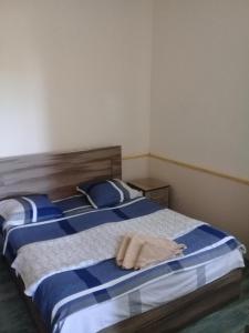 Postel nebo postele na pokoji v ubytování Apartment Giorgi in Sighnaghi