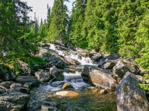 a stream of water with rocks and trees at Chalet Skeisvegen - OPP208 by Interhome in Svingvoll