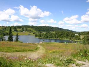 a lake in the middle of a field with trees at Chalet Liaråket - OPP209 by Interhome in Svingvoll