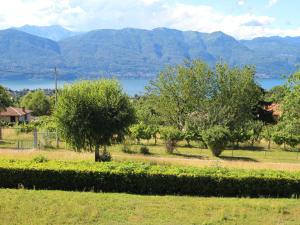 un campo con alberi e montagne sullo sfondo di Chalet Gallina by Interhome a Castelveccana