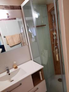 uma casa de banho com um lavatório e um chuveiro em Romantic Studio Center em Colmar