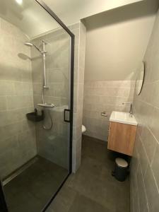 ein Bad mit einer Dusche und einem Waschbecken in der Unterkunft Vakantielodges Wissengracht in Hulsberg