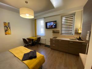 a bedroom with a bed and a sink and a desk at Frank & Fang Apartments MK1 in Budapest