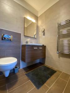 a bathroom with a sink and a toilet and a mirror at Frank & Fang Apartments MK1 in Budapest +15 photos