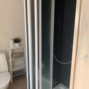 a glass shower in a bathroom with a toilet at Kuldallika igloo house and iglusauna in Kullamäe