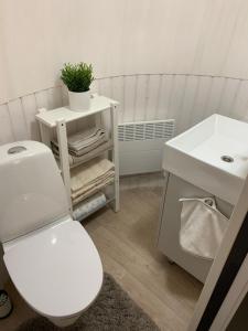 La salle de bains est pourvue de toilettes blanches et d'un lavabo. dans l'établissement Kuldallika igloo house and iglusauna, à Kullamäe
