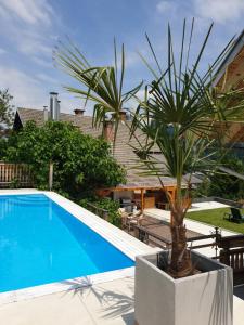 una gran piscina con una palmera al lado en Planika Holiday Home en Bled