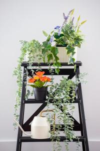 a black ladder with flowers and plants on it at Apartment Łobzowska Cracow by Noclegi Renters in Kraków