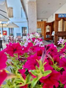 Mynd úr myndasafni af Hotel B&B Lorenzini Ski í Selva di Cadore