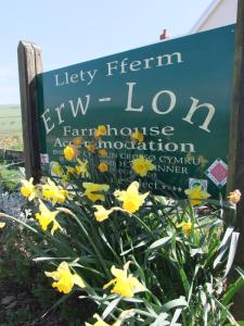 un signe avec des fleurs jaunes devant lui dans l'établissement Erw-Lon Farm, à Pontfaen