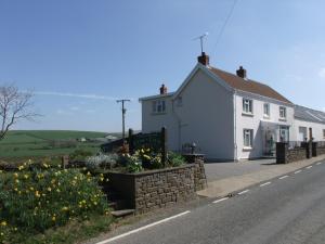 a white house on the side of a road at Erw-Lon Farm in Pontfaen