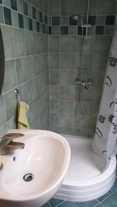 Koupelna v ubytování Ilona apartmanok