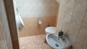 Koupelna v ubytování Ilona apartmanok