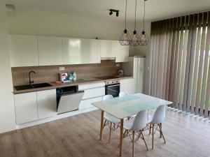 Kuchyň nebo kuchyňský kout v ubytování Apartmán za kostelem Čeladná