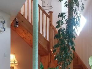 a wooden staircase with a plant in a room at Seashells B&B in Duncannon