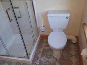 Un baño de Seashells B&B
