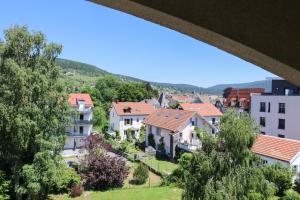a view from our apartment in the city at Le Belvosgien in Gérardmer