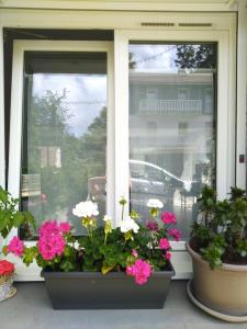 duas janelas com vasos de flores à frente em Séjour chaleureux chambre chez l habitant em Torpes