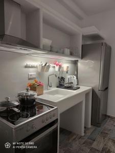 Kuchyň nebo kuchyňský kout v ubytování Θίς luxury apartments