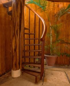 Fotografie z fotogalerie ubytování Hostal Poseidon v destinaci Puerto Cayo