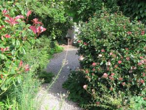 a garden with roses and a walkway at Steps Farmhouse B&B in Minehead
