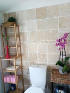 ein Badezimmer mit einem WC und einem Bücherregal in der Unterkunft Gite chez mamiyo gallargues le montueux in Gallargues-Le-Montueux