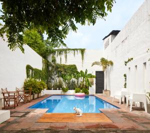 A piscina em ou perto de Casa Amberes