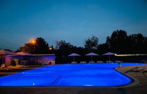 a large blue swimming pool with chairs and umbrellas at Popas Zodiac in Jupiter