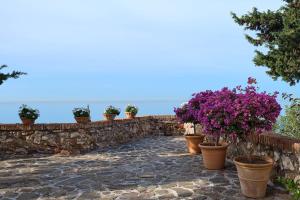 a stone retaining wall with potted plants on it at Soho Boutique Castillo de Santa Catalina - Adults Recommended in Málaga