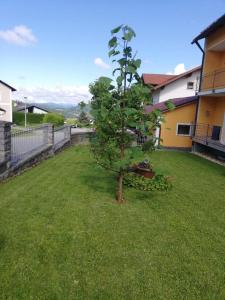 a small tree in the yard of a house at Ferienwohnung Rosemarie Wagner in Grafenau